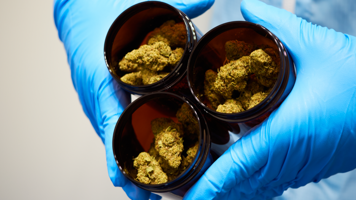 Canify Cannabis Aktien investieren